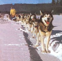 Life in Alaska
